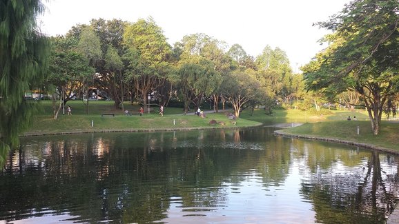 The revamped Bishan-Ang Mo Kio Park that I grew up with | Spring Tomorrow