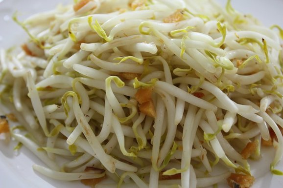 Stir Fried Bean Sprouts with Salted Fish Recipe  Spring 