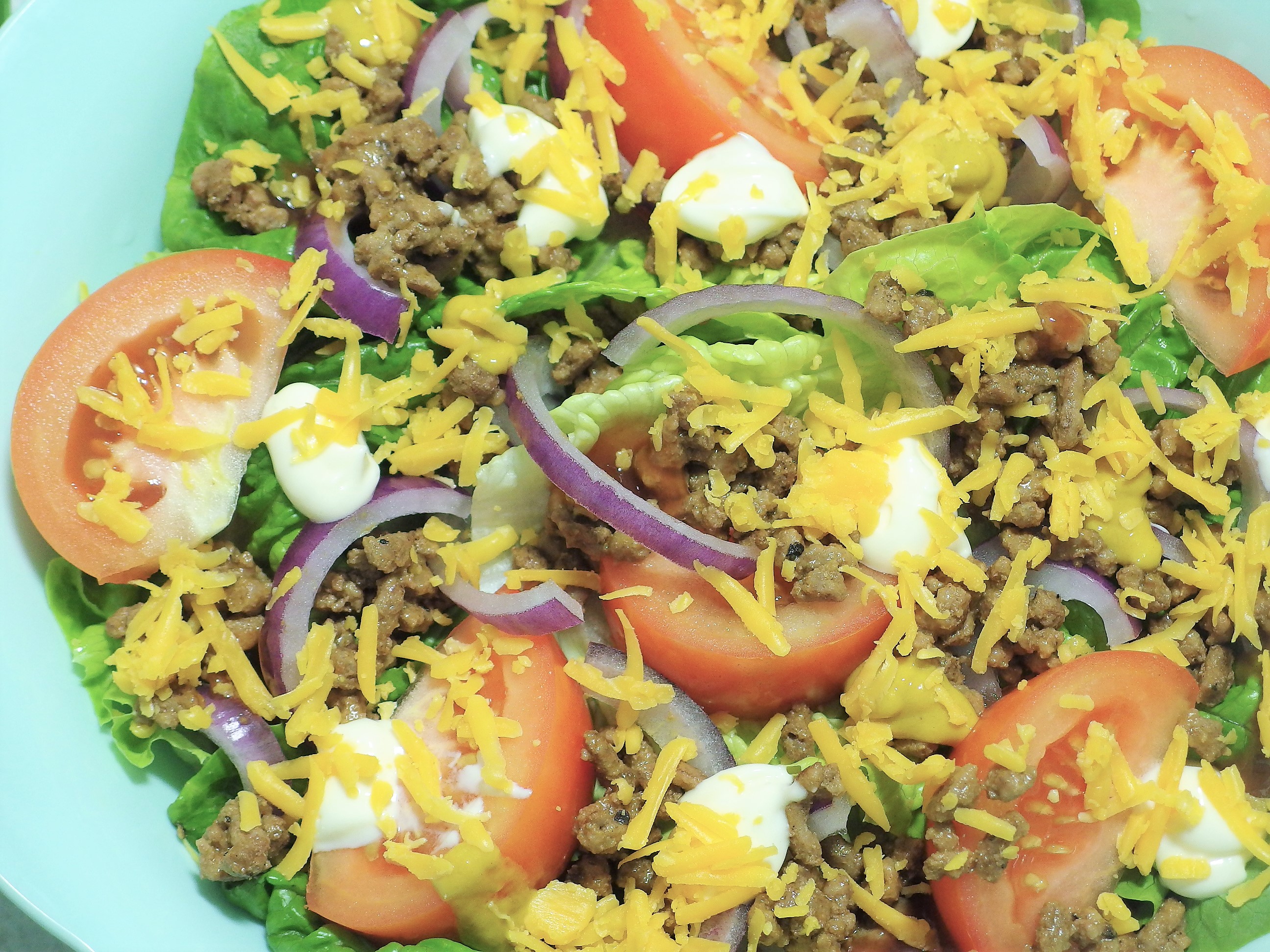 Cheeseburger Salad Recipe - Low Carb With No Buns | Spring Tomorrow